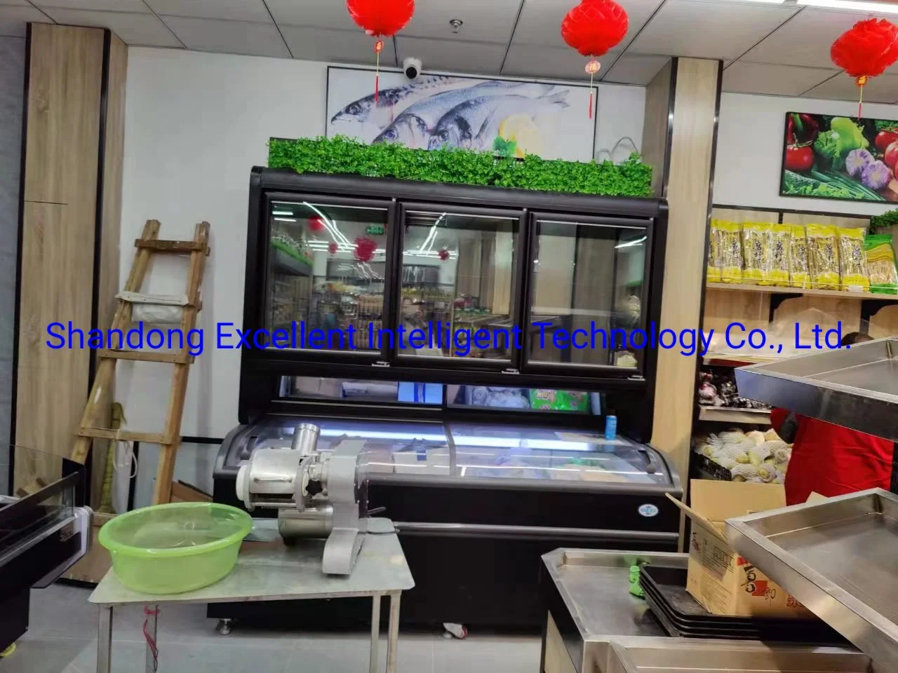 Commercial Refrigeration Overhead Combined Island Cabinet Plug-in Low Temperature Auto Defrost Glass Door Freezer