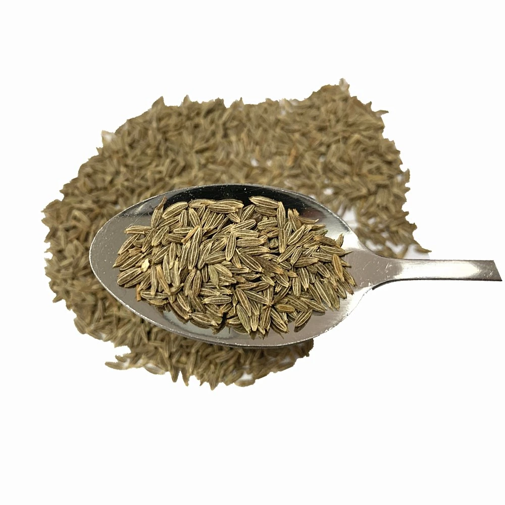 Wholesale/Supplier Premium Quality Cumin Seeds Single Spices