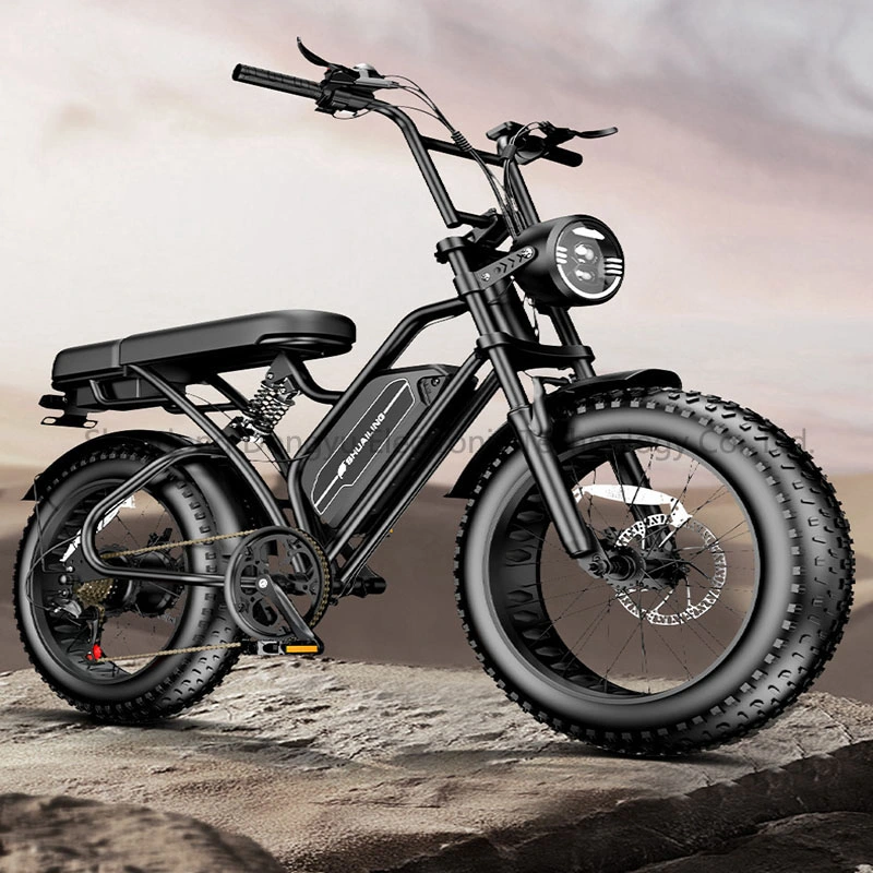 750W Strong off Road Bicycle 20 Inch Fat Tire Electric Bicycle Urban Mountain Electric Bicycle Adult Edition