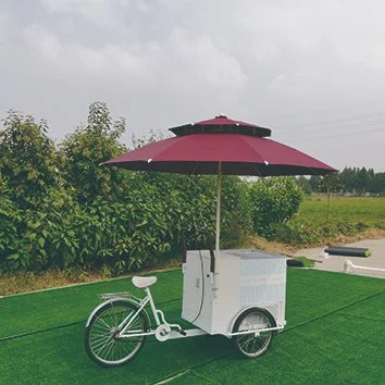 Bicicleta de carga de 3 rodas com congelador aprovada pela CE OEM Carrinhos de venda para o triciclo elétrico do creme de gelo