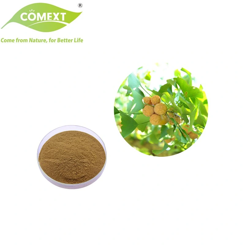 Comext ISO Halal Kosher Certificated Wholesale/Supplier Price 24% Total Flavones Powder Ginkgo Biloba Extract Lower Blood Pressure