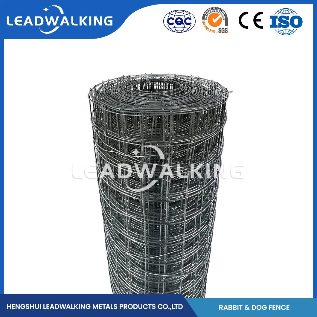 Portátil Leadwalking valla PERRO PERRO galvanizado al por mayor de fabricación de la perrera de la jaula de alta calidad Wear-Resistant China valla valla perro