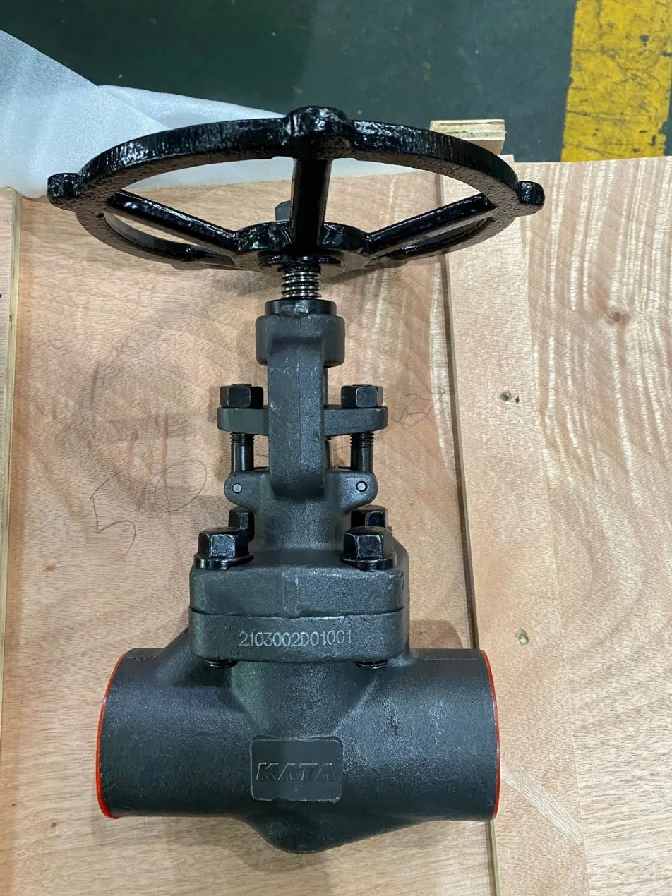 API 602 Forged Steel A105 Globe Valve Sw 2inch 800lb