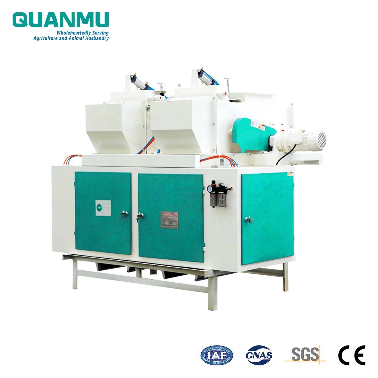 Stainless Steel Automatic Belt Feed Microcomputer-Controlled Quantitative Electronic Bagging Scale for Pet Food Pellet (Granule)