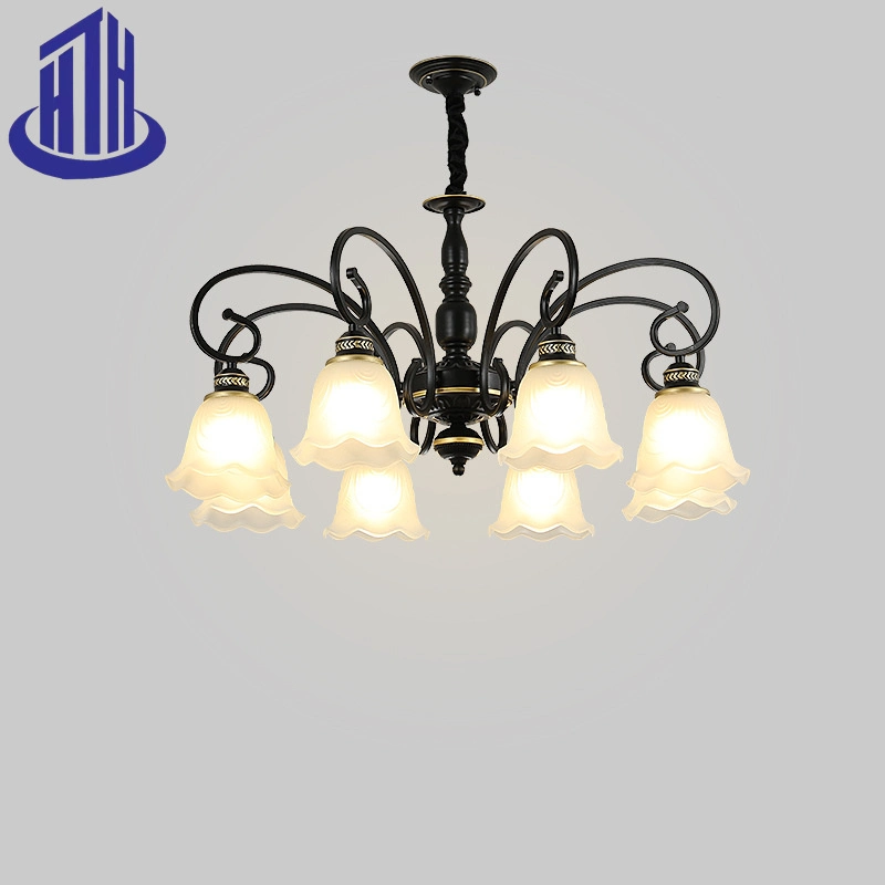 Handwork Iron Art+Frosted Glass Kapok Ceiling Pendant Light with E27*5/6/8/10 Light Fixture (HTH-MH)