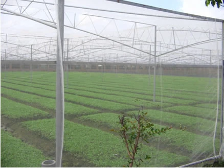 Greenhouse Used Anti Insect Nets with Low Price