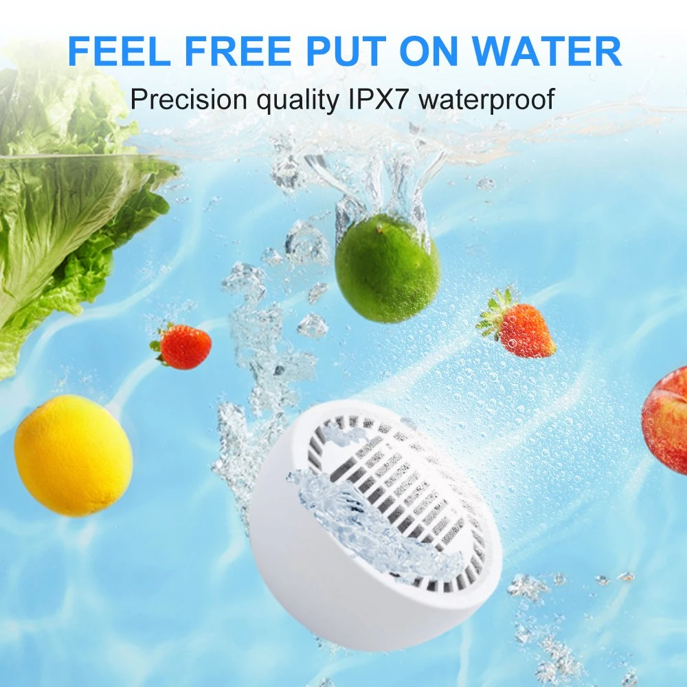 Fruit and Vegetable Purifier Classification Fruit and Vegetable Purifier Food Cleaning Machine Portable Without Automatic