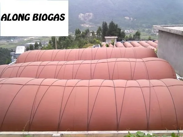 PVC Coated Fabric Soft Biogas Digester Flotation Soft Tank Holder