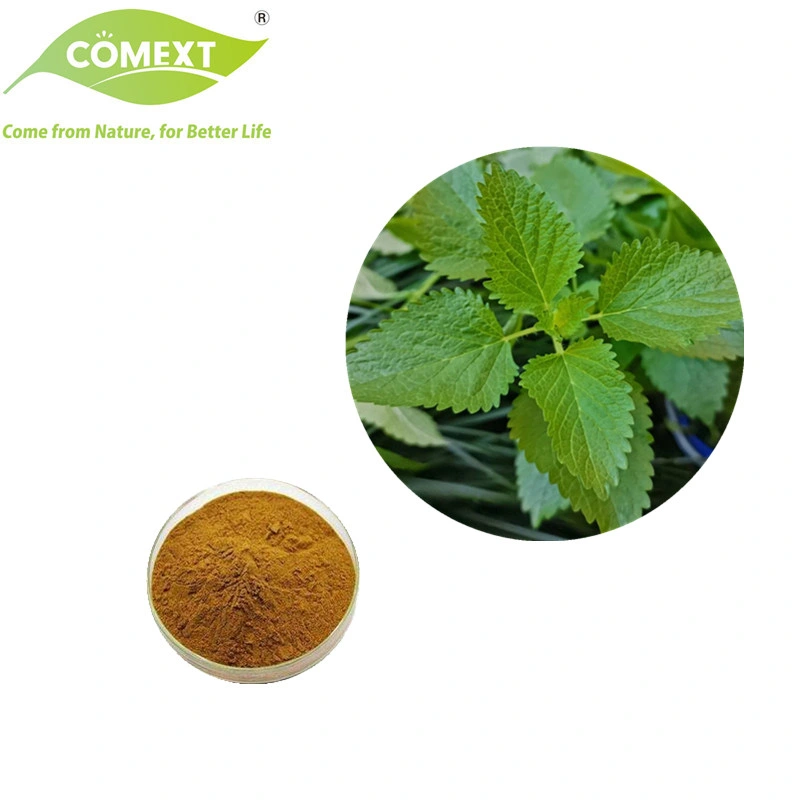 Comext ISO Factory Lyphar Supply Directly 100% 5: 1 10: 1 20: 1 Natural Melissa Extract Lemon Balm Extract