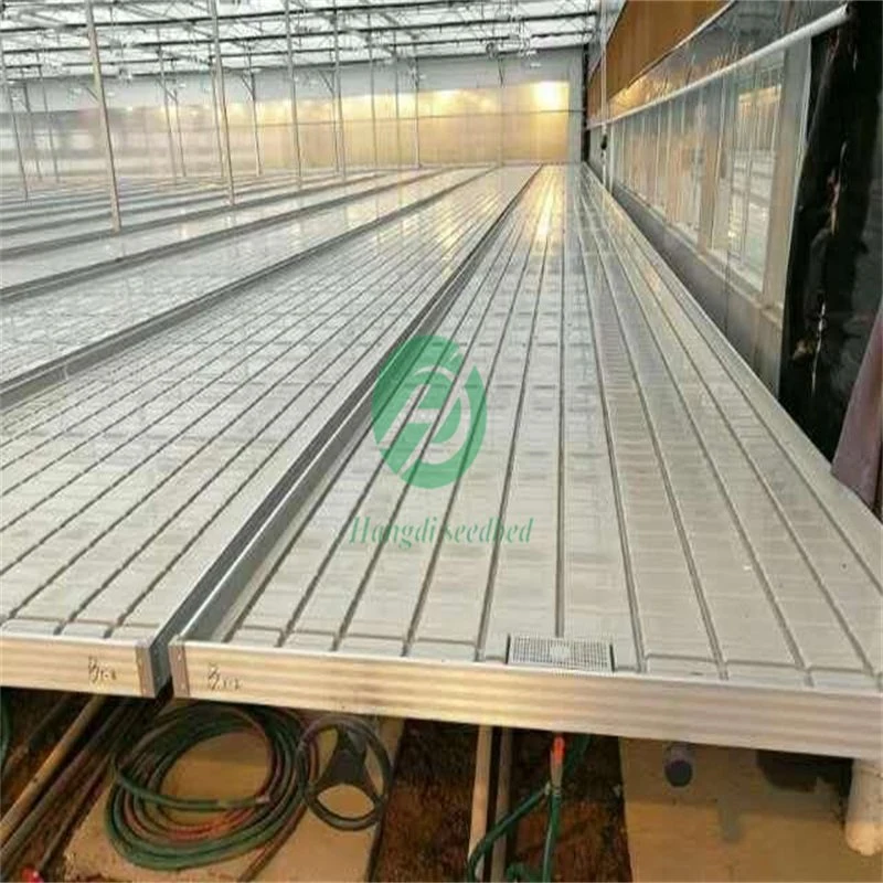 Agricultural Greenhouse Flood Hydroponic Rolling Benches Tables Aluminum Planting High quality/High cost performance  ABS Trays