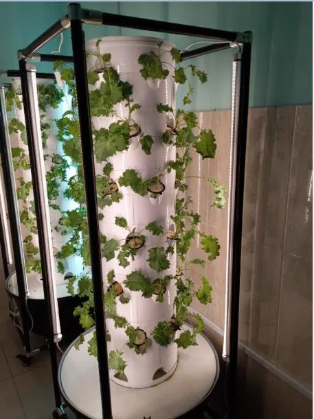 Hydroponic Systems for Sale Aquaculture Equipment Tower Garden