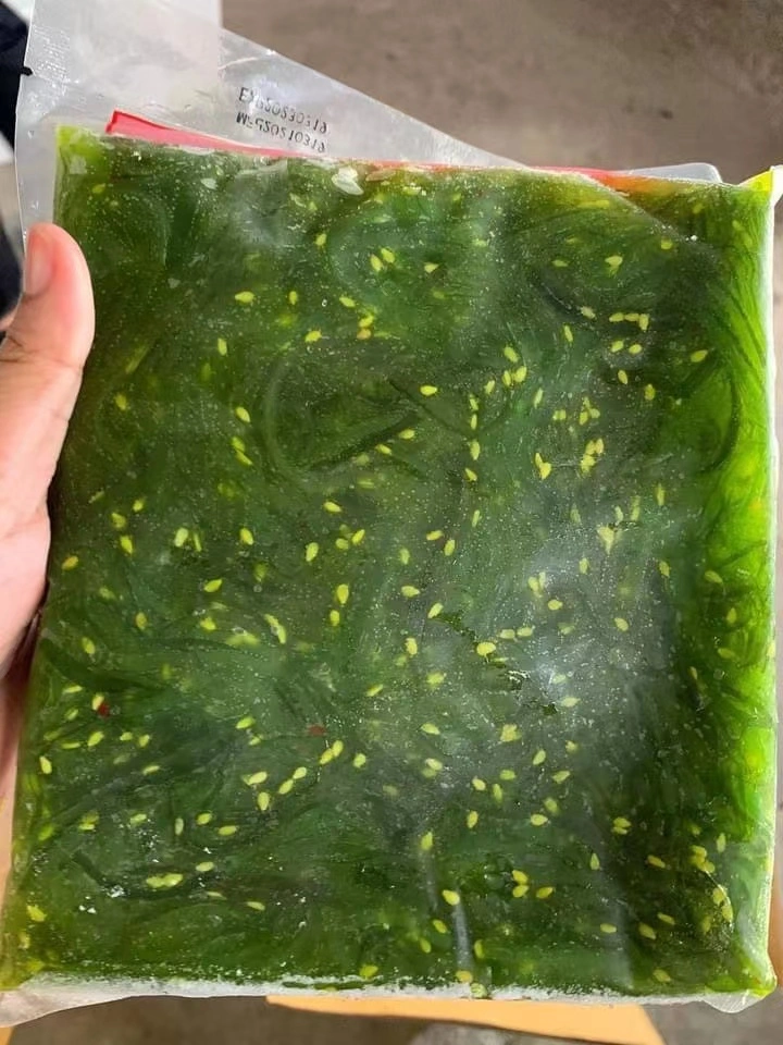 Frozen Seafood Hot Sale Seaweed Salad with Best Price