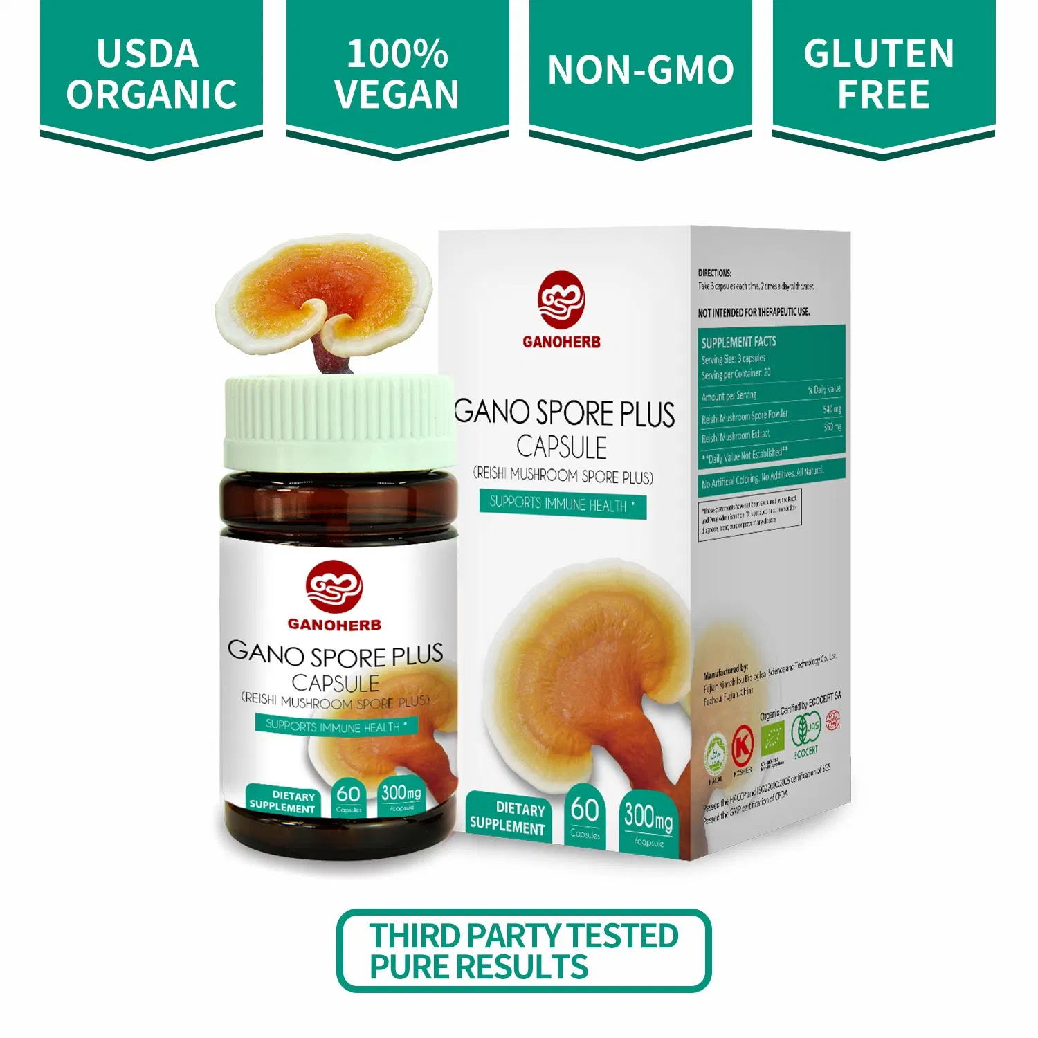 Ganoherb esporas de hongos Reishi orgánica cápsulas con 100% de la Ganoderma lucidum espora en polvo para aumentar el sistema inmunológico natural vegano no OMG y Libre de Gluten 60 Vegg