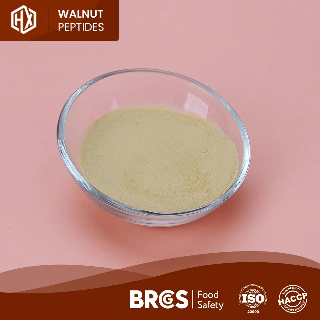 Haoxiang ODM Kundenspezifische 90% nicht-GVO Walnuss Isolate Protein Factory Supply Walnuss Peptide Bulk High Purity Walnuss Peptid Pulver in immun Und Anti-Ermüdung