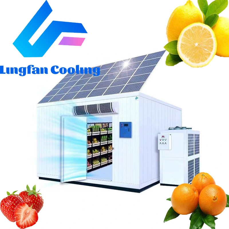 High Quality Storage for Meat 5 Ton Solar Cold Room