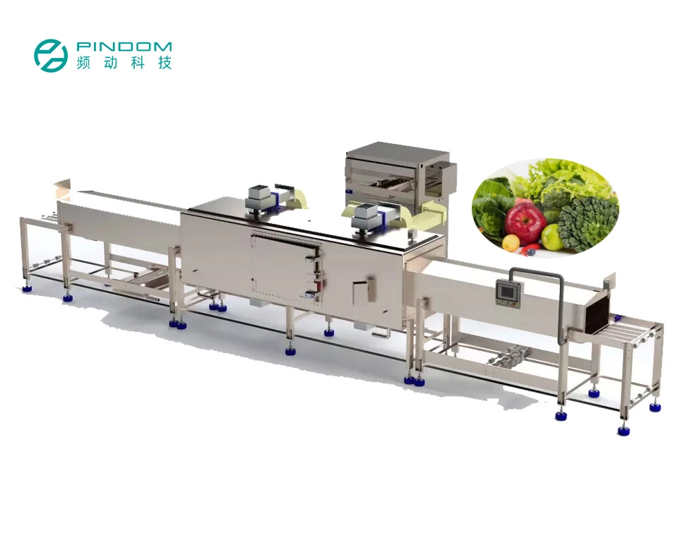Fresa de fruta procesamiento de alimentos secado de máquina de secado Conveyor Comercial Máquina de esterilización de maquinaria de bandas máquina de secado de túneles