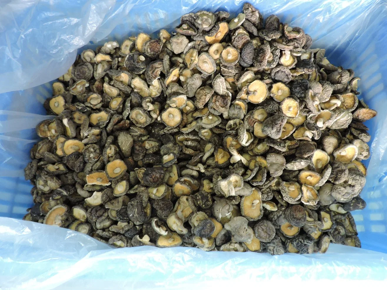 Grade a Mushrooms New Crop Dried Shhiitake