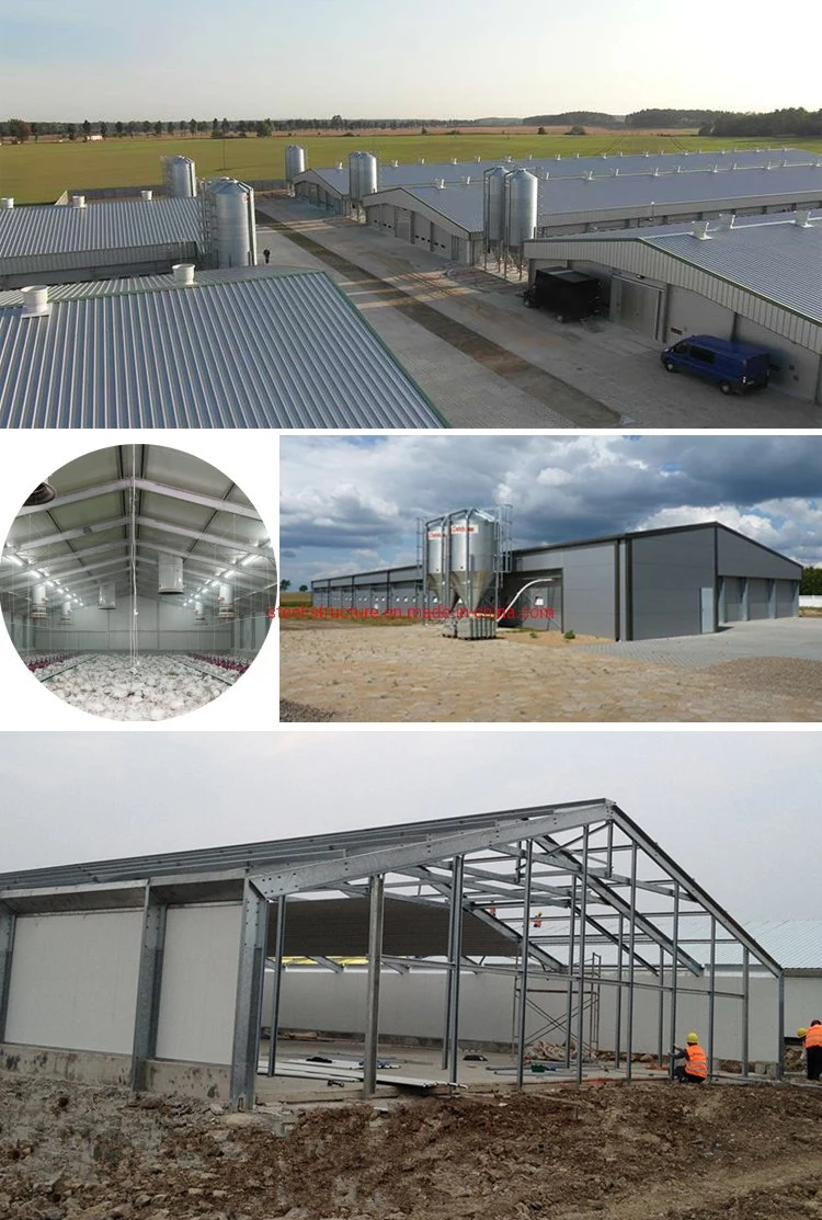 Steel Structure Metal Frame Sandwich Panel Poultry Farm Building