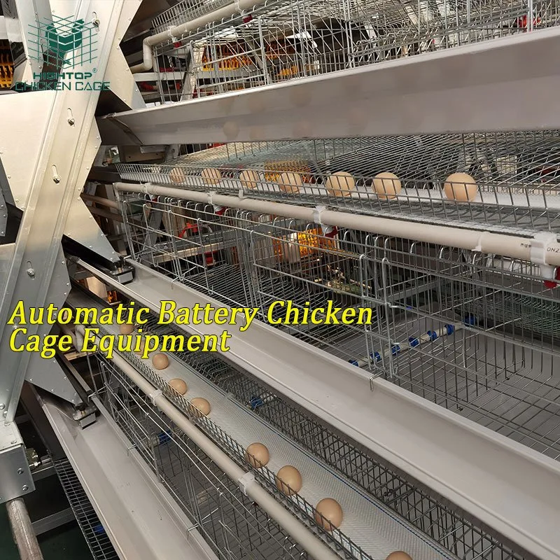 Industrial Automatic A Type Battery Layers Cage Poultry Equipment