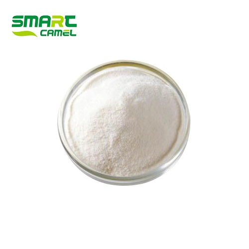 Organic Soybean Extract Phosphatidylserine 20% CAS 51446-62-9 PS Powder Phosphatidyl Serine