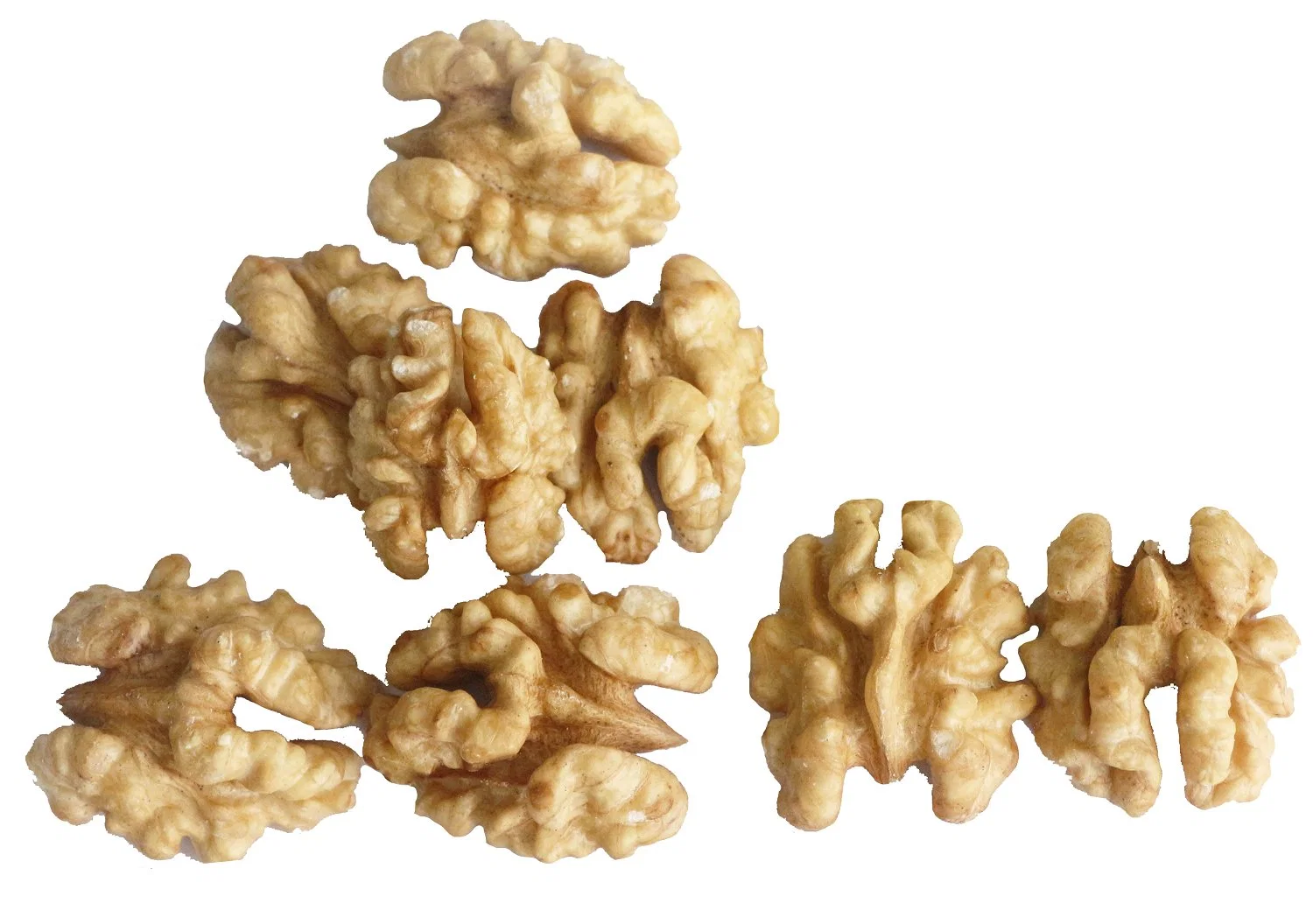 Wholesale Natural Organic Top Grade White Walnuts Peeled Bulk Raw Walnut Kernels Nuts & Kernels