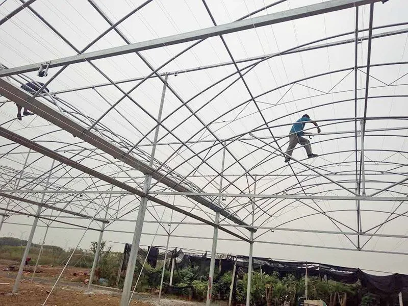 High Quality Custom Poly Tunnel Multi Span Galvanized Steel Tube Frame Green House