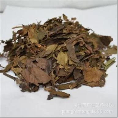 Zhong Jie Feng High quality/High cost performance Herbal Medicine Glabrous Sarcandra Herb Sarcandra with Lower Price