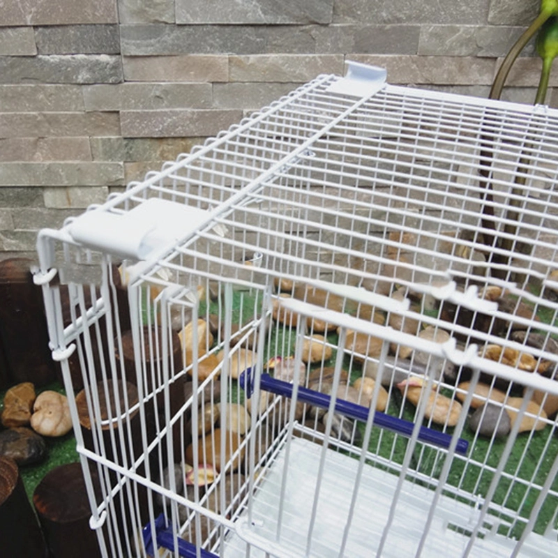 High-Quality European Wrought Iron Bird Cage Floor Collapsible Bird Cage