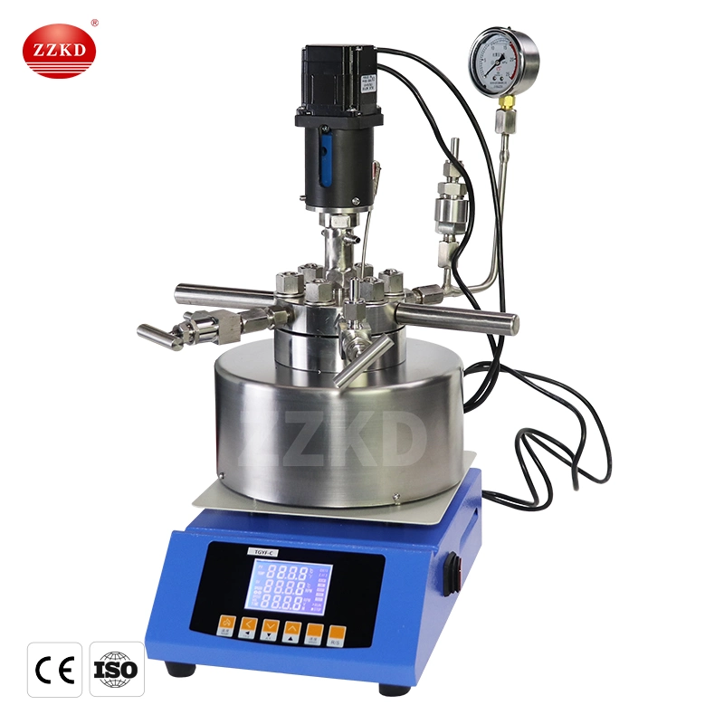 CE 50ml~500ml Lab Table Top Chemical Magnetic Stirrer Autoclave High Pressure Reactor Autoclave Equipment for Sale