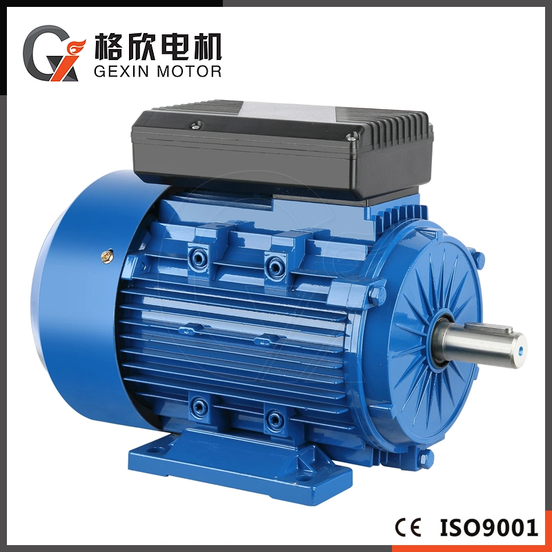 CE Approved Capacitor Start Single Phase Induction Motor AC Motor Electric Motor (YC YL MY ML)