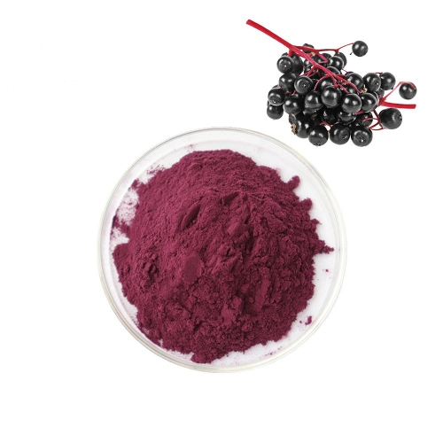 Factory Direct Supply Good Price Elderberry Extract