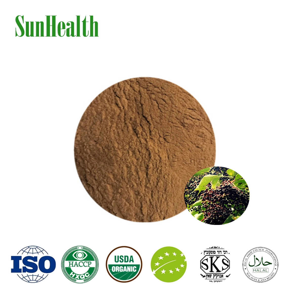 Factory Supply Elderberry Extract Black Elderberry Extract Anthocyanin 4-30%;