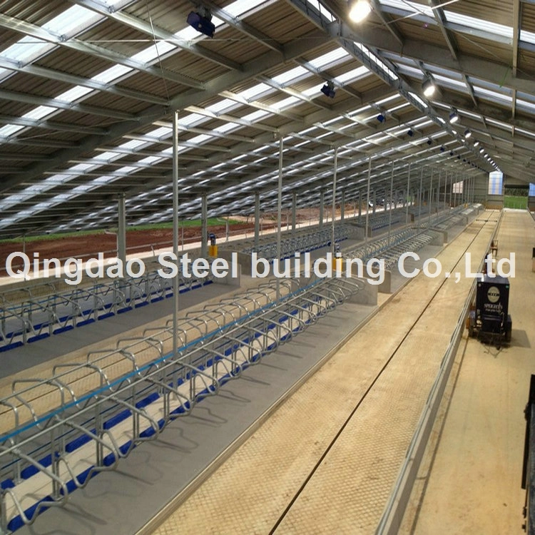 Steel Structure Frame Poultry House Cow Shed Farm Building Dairy Farm Building