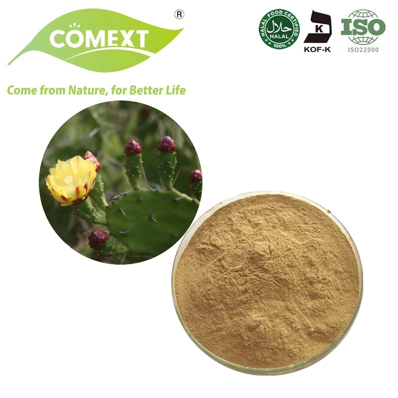 Comext 100% Natural Cactus Fruit Extract Powder Nopal Cactus Extract