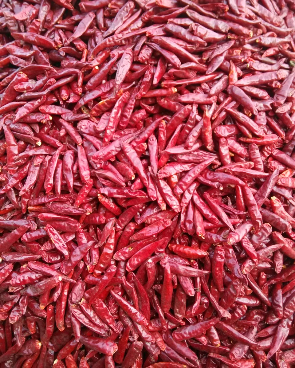 Dried Red Chilli Whole & Crushed& Ring & Powder