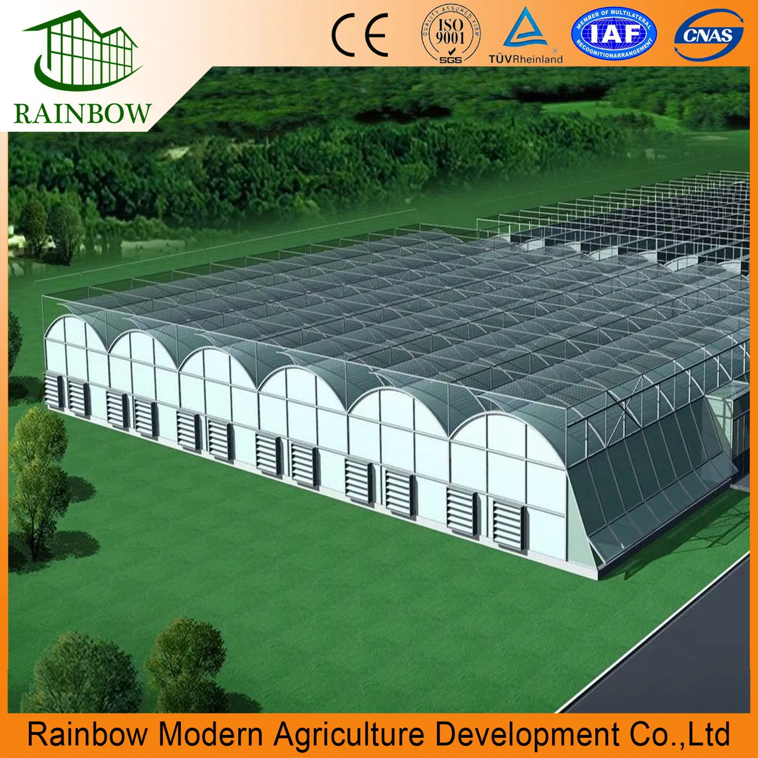 Agriculture Multi Span Plastic Film Greenhouse