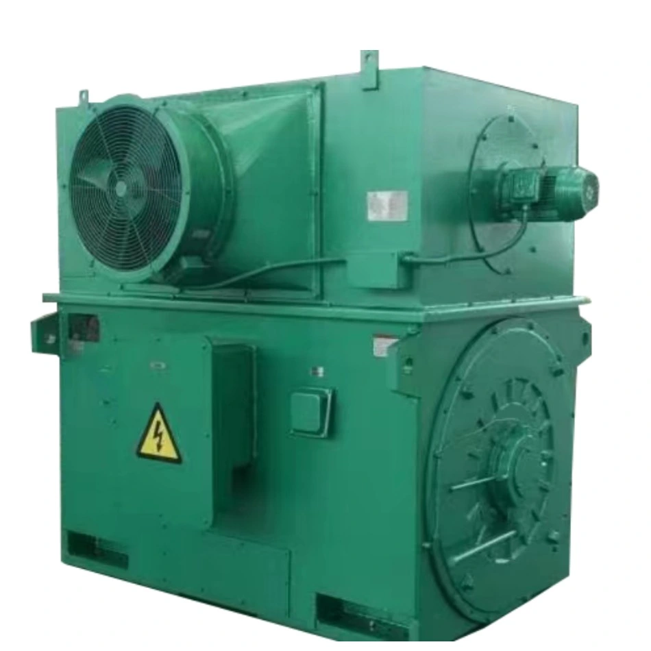 Electric Electrical Three Phase AC High Volt Motor Asynchronous Induction Motor