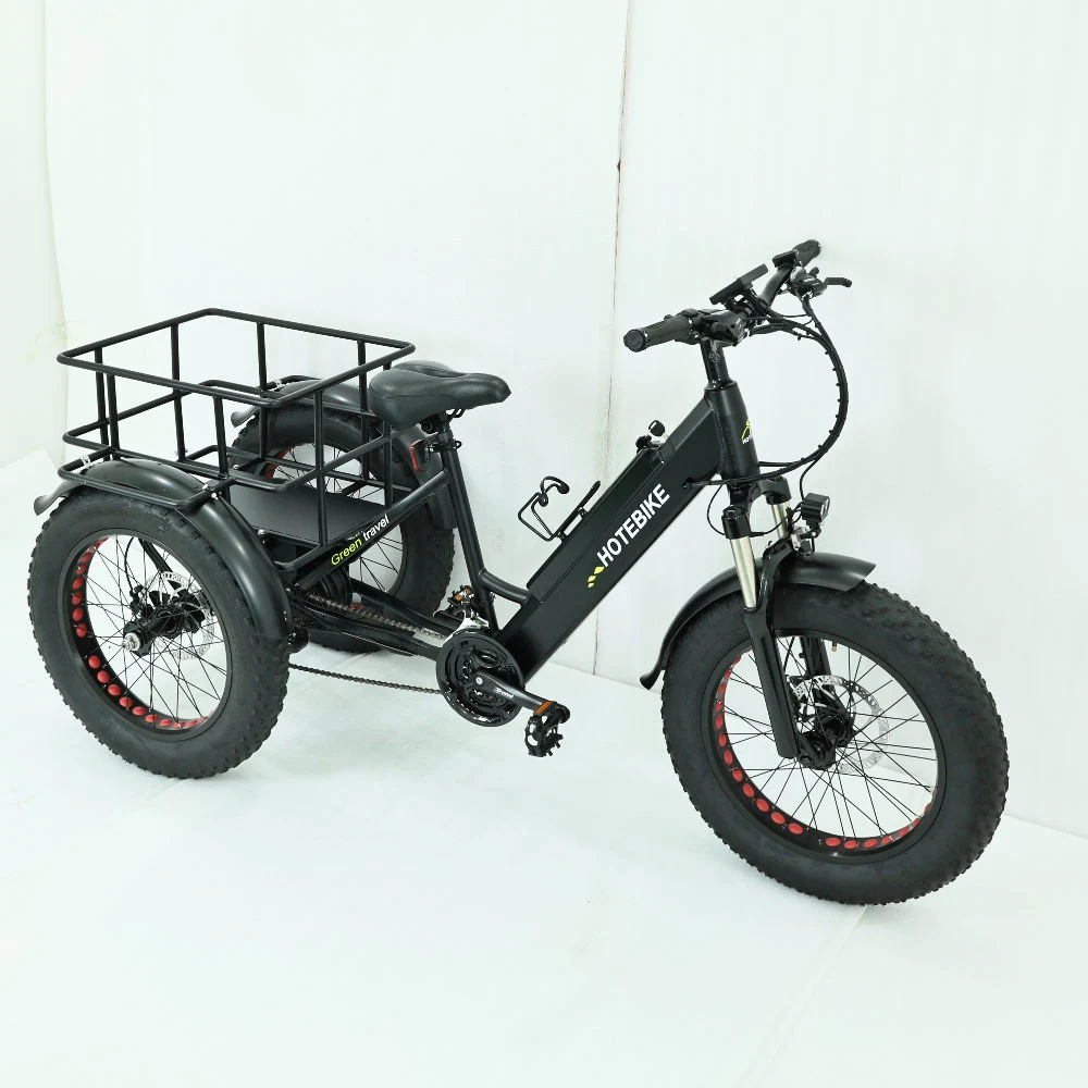 Электрический груза Trike 500Вт мотор 750 Вт 48V 24AH электрического заряда аккумулятора на инвалидных колясках коммерческие поставки