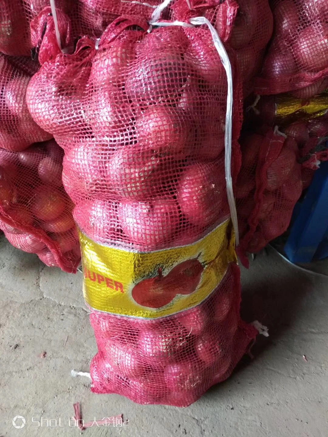 Wholesale/Supplier 5-8cm Brand Onion 10kg Bag