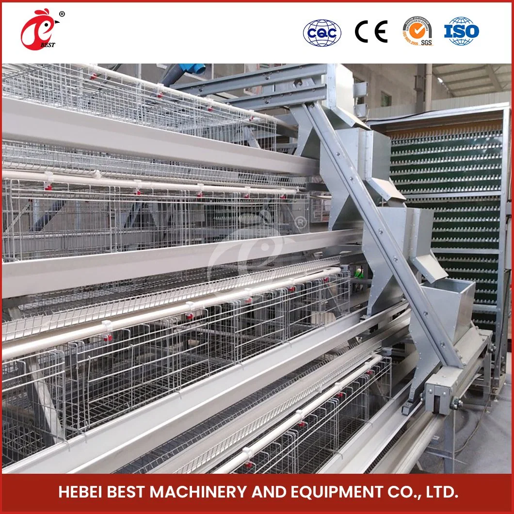 La Chine en bois Bestchickencage grand fabricant de la couche de poulet Coop ODM Custom Configuration de la cage de la couche transport de bétail chauffage solaire pour le poulet Coop