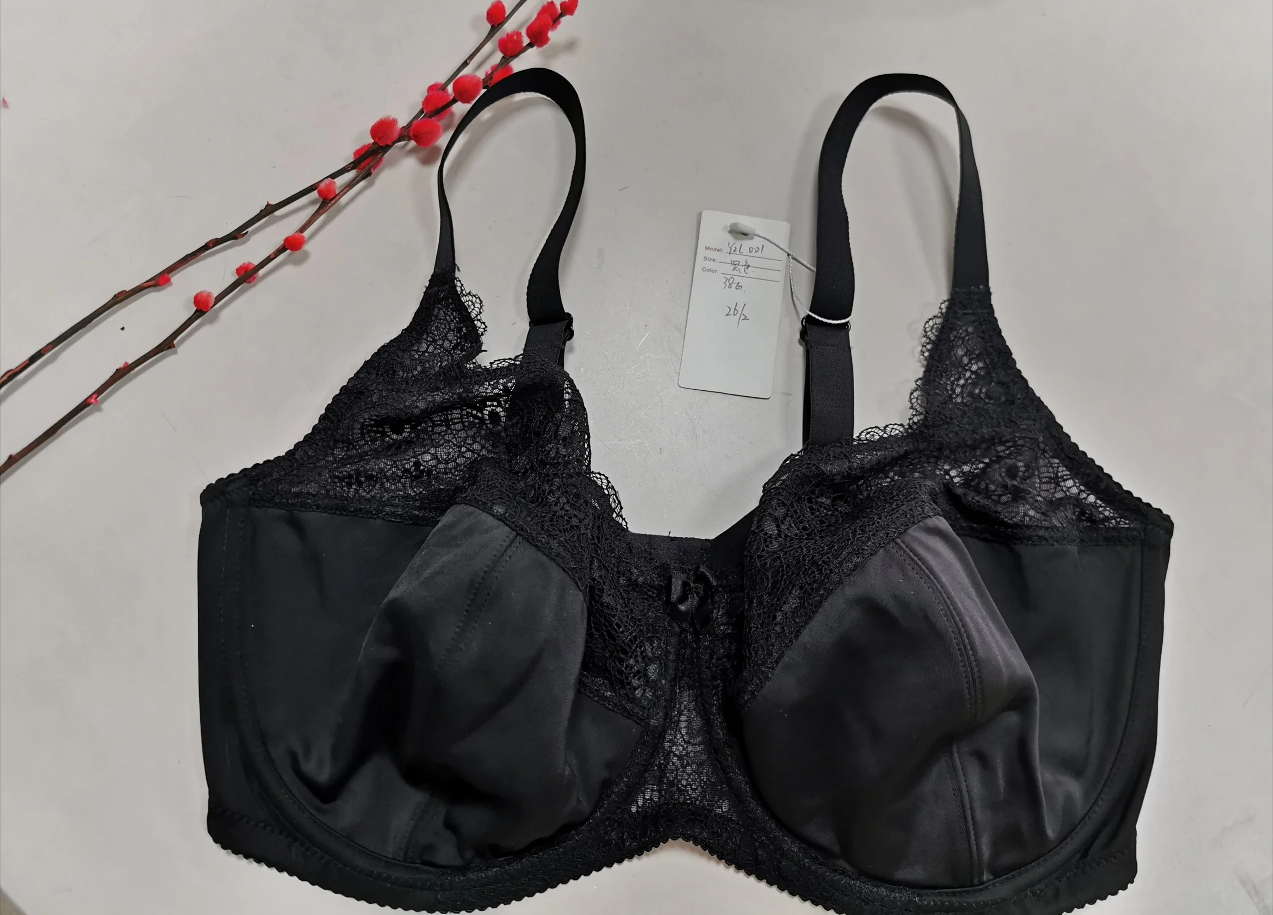 Tamaño grande de estilo europeo Novedades Underwire sujetador Mujer Plus Size para