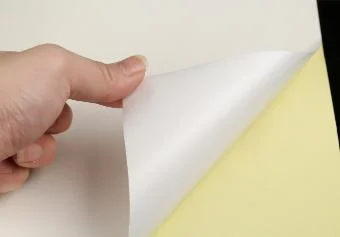 Papier adhésif vierge auto-adhésif POUR colle thermofusible 80 G/M2 semi-brillant Papier autocollant