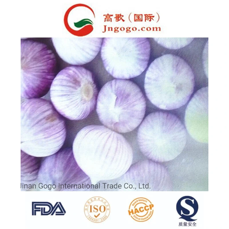 Export New Crop Fresh Good Quality Pure White Garlic (4.5/5.0)