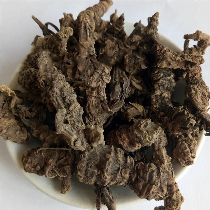 Hot Sale Dry Herb Rhizome of Broadleaf Chinese Common Valeriana Rhizome Roots