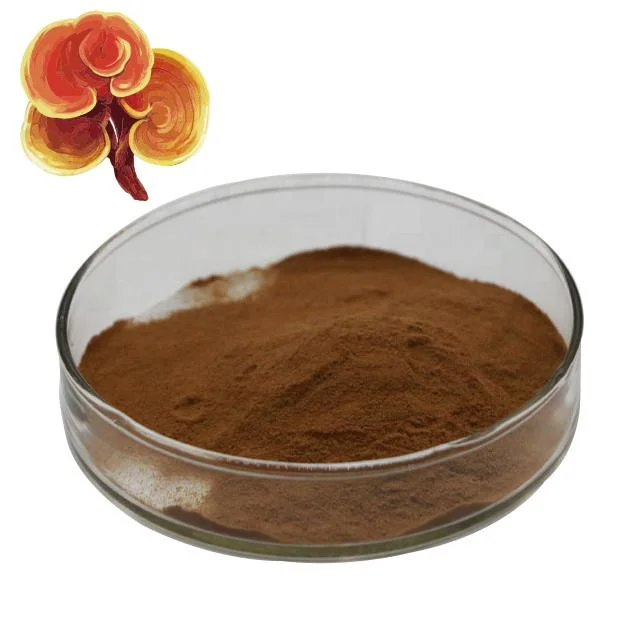 Mayorista Ganoherb grueso Ganoderma lucidum Reishi extracto en polvo