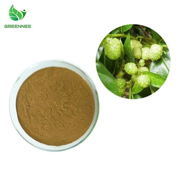 Hot Selling Noni Fruit Extract Powder Noni Juice Extract Noni Fruit Powder