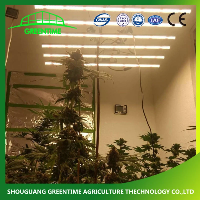 2021 Nuevo diseño de alta Efficeency 500W 800w Crecimiento vegetal de la barra de luz LED