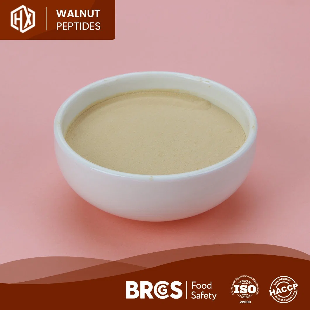 Haoxiang OEM Custom Reducing Blood Lipid and Antioxidation Walnut Peptides Wholesale/Supplier China High Purity Water Soluble Walnut Collagen Powder Peptide for Drink