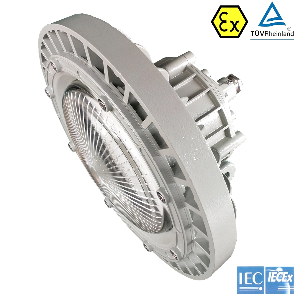 Lámparas LED ignífugas de alto nivel para la industria de la celulosa y el papel Con certificado ATEX de TUV
