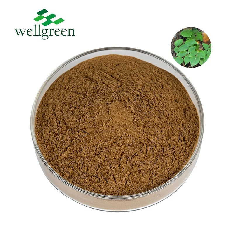 Wholesale Icariin 30% Epimedium Herb Extract Powder CAS No. 489-32-7